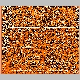 irs2_LHSE1_V3_lrypb.gif