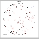 field01a.gif
