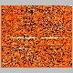 irs1_CFHTLSW2D2_lrypb.gif