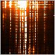 pos5_20120731.gif
