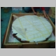 DSC01397.JPG