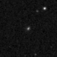 2019egz_image
