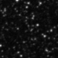 2019eht_image