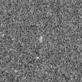 2019eiq_image