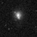 2019ejk_image