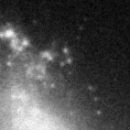2019ejn_image