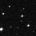 2019ela_image