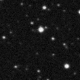 2019elf_image
