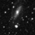 2019elg_image
