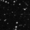 2019elk_image