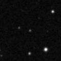 2019elo_image