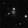 2019elp_image