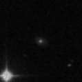 2019elq_image