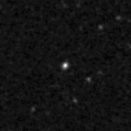 2019elw_image