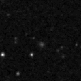 2019enp_image
