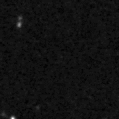 2019epo_image