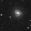 2019erf_image