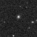 2019erw_image