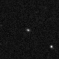 2019euf_image