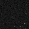 2019euv_image