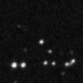 2019evb_image