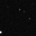 2019ewg_image