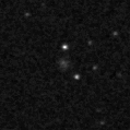 2019ews_image