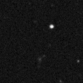2019exd_image