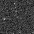 2019exm_image