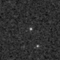 2019exp_image