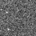 2019faa_image