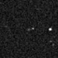 2019fao_image