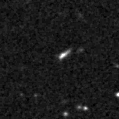 2019fec_image