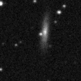 2019ffs_image