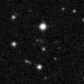2019ffz_image