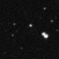 2019fhf_image