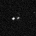 2019fid_image