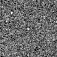 2019fjm_image