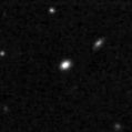 2019fjy_image