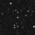 2019flc_image