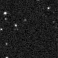 2019flk_image