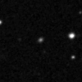 2019fln_image