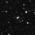 2019fmt_image