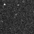 2019foc_image