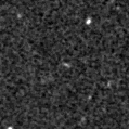 2019fov_image