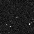 2019fox_image
