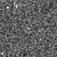 2019fqb_image