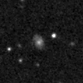 2019fud_image