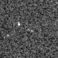 2019fvm_image