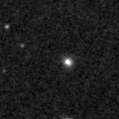 2019fxp_image